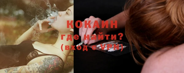 apvp Алексин