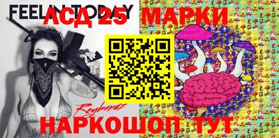 гидропоника Аша