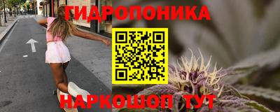 гидропоника Аша