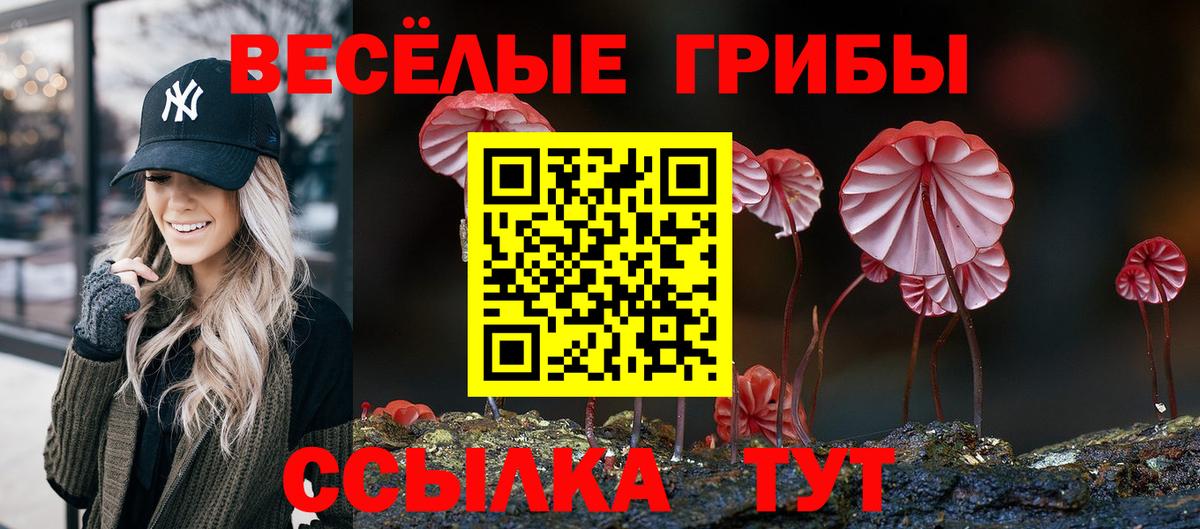 Галлюциногенные грибы мицелий Ачинск